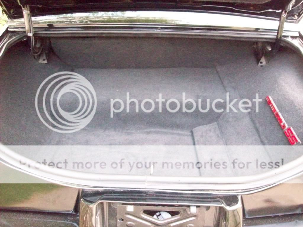 Custom Trunk Lid Panels / Vinyl graphics / etc. Monte Carlo Forum